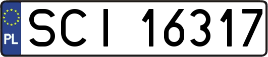 SCI16317