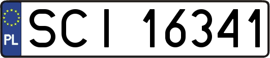 SCI16341