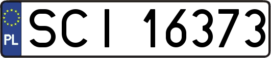SCI16373