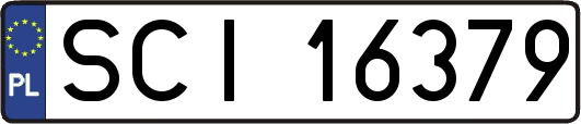 SCI16379