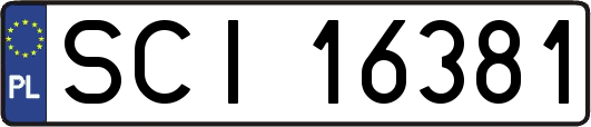 SCI16381