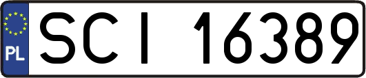 SCI16389