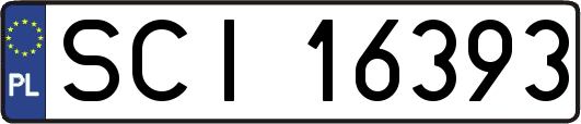 SCI16393