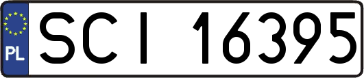 SCI16395