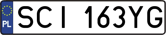 SCI163YG