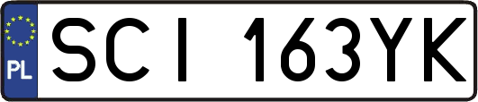 SCI163YK