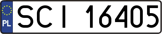 SCI16405