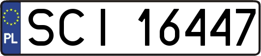 SCI16447