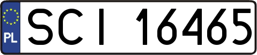 SCI16465