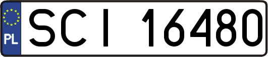SCI16480
