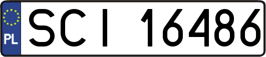 SCI16486