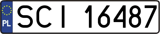 SCI16487