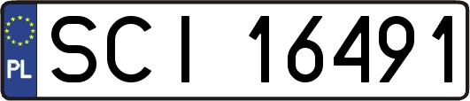 SCI16491