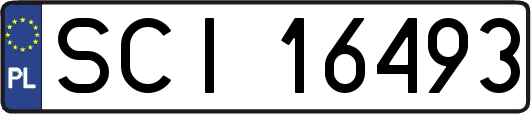 SCI16493