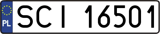 SCI16501