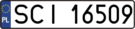 SCI16509