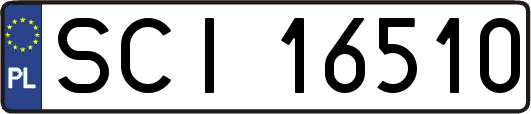 SCI16510