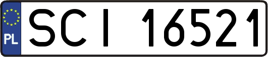 SCI16521