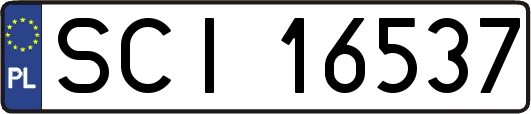 SCI16537