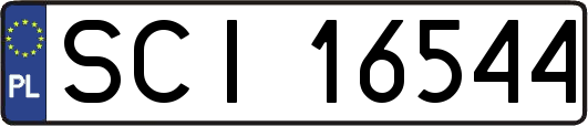 SCI16544