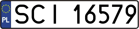 SCI16579