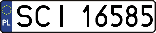 SCI16585