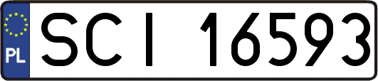 SCI16593