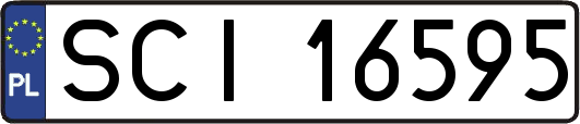 SCI16595