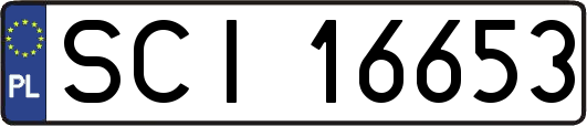 SCI16653