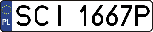 SCI1667P