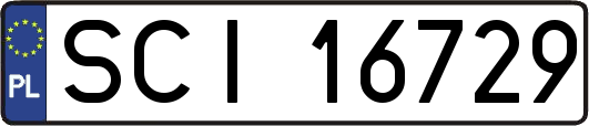 SCI16729