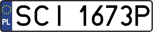SCI1673P