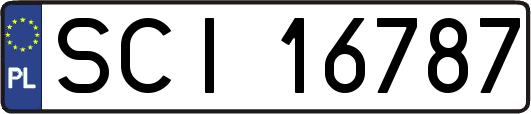 SCI16787