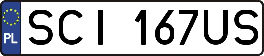 SCI167US