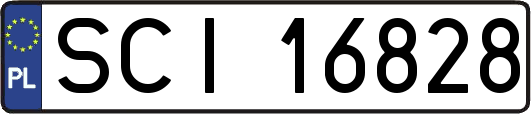 SCI16828
