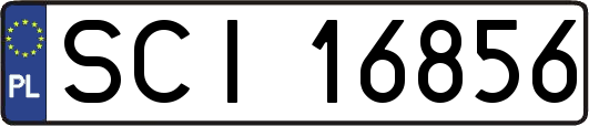 SCI16856