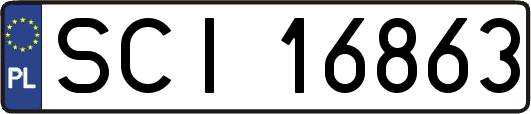 SCI16863