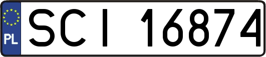 SCI16874
