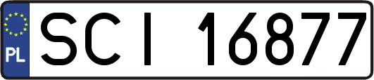 SCI16877