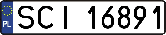 SCI16891
