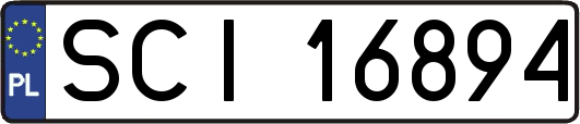 SCI16894