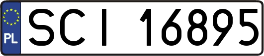 SCI16895