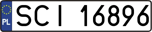 SCI16896