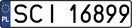 SCI16899