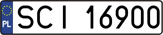 SCI16900