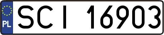 SCI16903