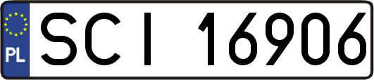SCI16906