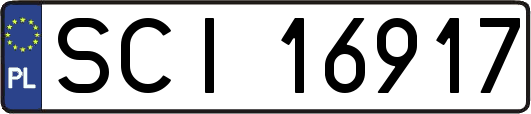 SCI16917