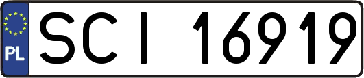 SCI16919