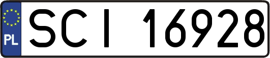 SCI16928